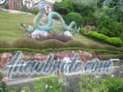 Philippine-Women-1177