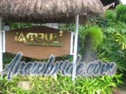 Philippine-Women-1327