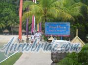 Philippine-Women-8776-1