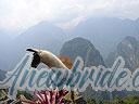 Machu-Picchu-009